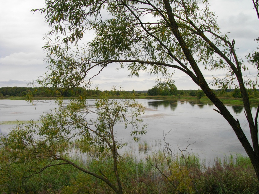 Poleski Park Narodowy